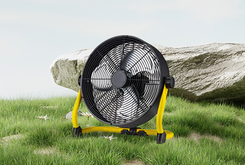 Velle castra fan